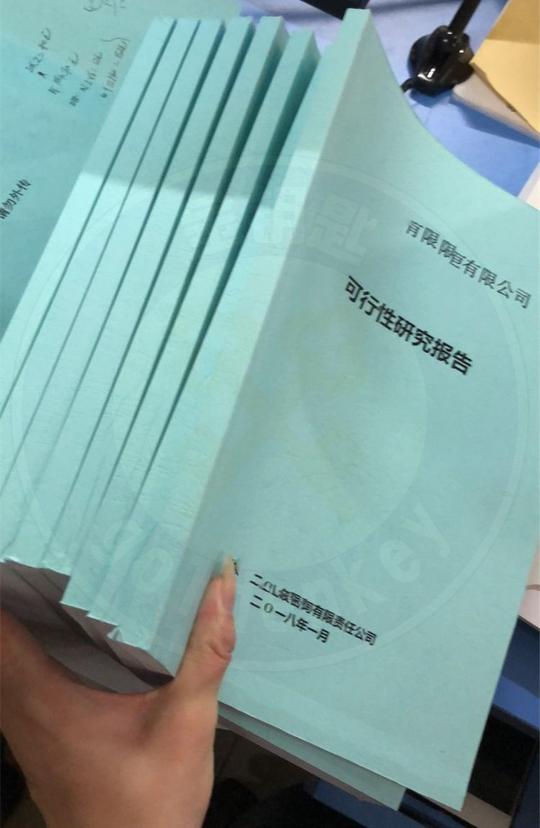 商业计划书编写的基本格式(文字部分)