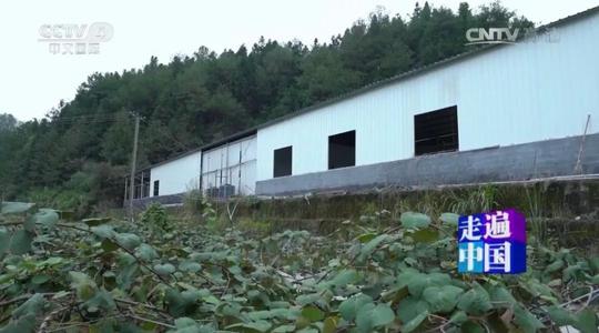 外国小伙在中国农村种了80000㎡地,坚持不打农药,八年