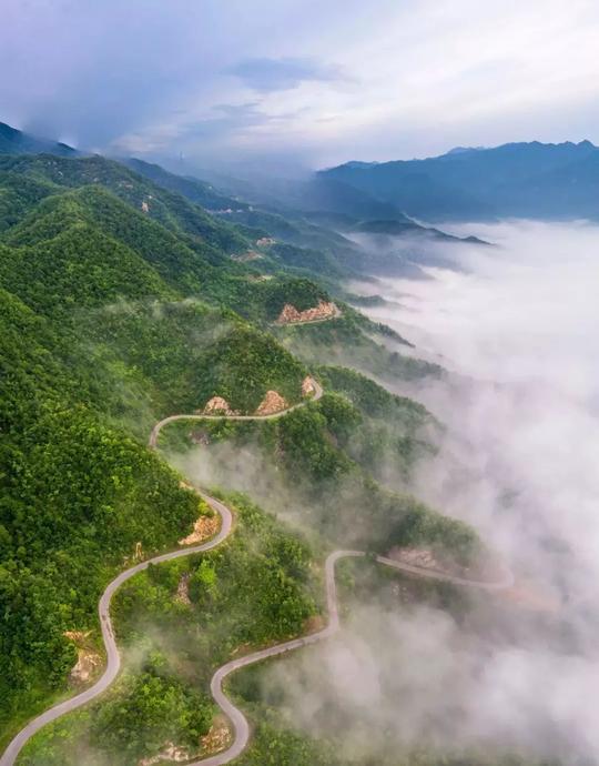 文化正文挂壁公路(请将手机横屏观看)摄影by付有良龙门石窟▼