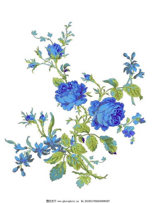 蓝色妖姬花朵玫瑰素材背景