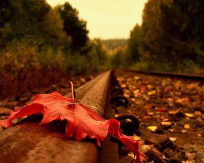 秋天发的说说带伤感的图片