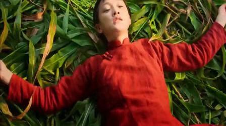 红高粱:九儿出嫁，半路被占鳌扛到高粱地，父亲在外等了一个小时
