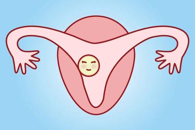 怀孕造成胎停的原因有哪些
