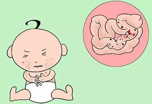 宝宝容易对哪些食物过敏呢