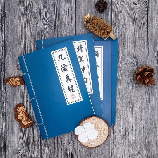 书本凌波微步创意搞笑复古风天才秘籍30张九阴真经笔记本可爱记事