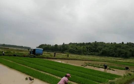 未来农村最赚钱的两类人,所以最后农民还得靠土地!