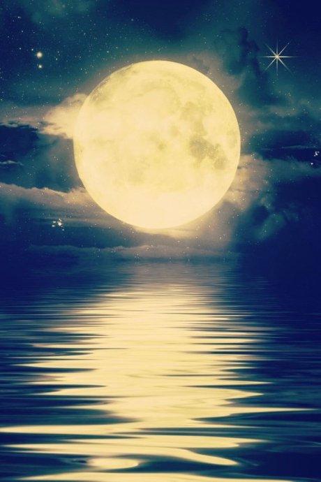 明月夜