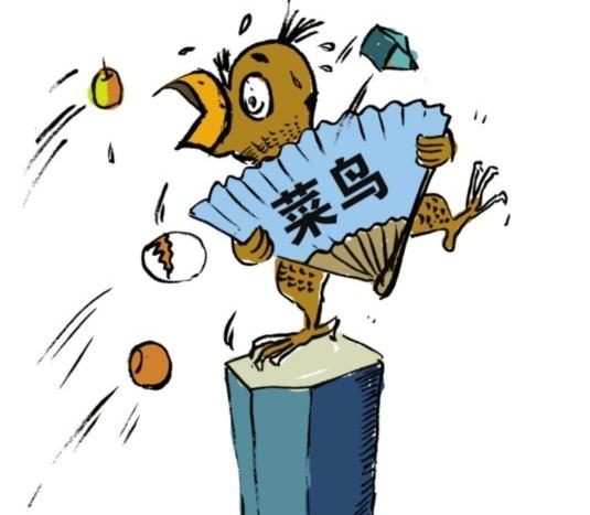 菜鸟