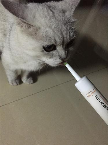 便秘的多种原因
