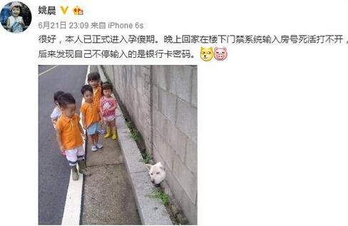 怀孕真的会变傻吗?