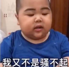 你好骚呀搞笑斗图表情