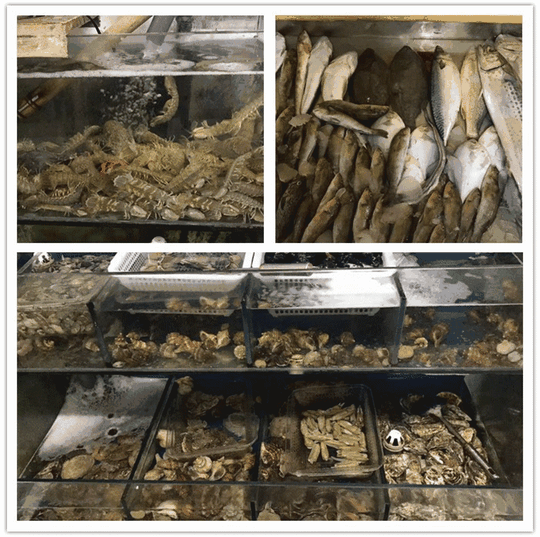老板九哥认为自己家的海鲜烧烤首先自己得吃着好,这比赚钱更重要!