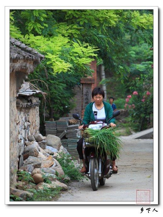 乡下的女人也能干,驾着摩托车干活.