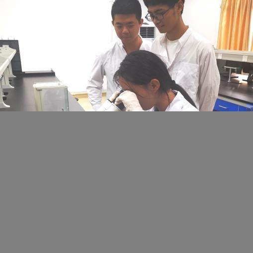 黎明职业大学杼研科技团队在癌症检测技术上取得突破性进展