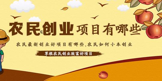 农民创业项目有哪些