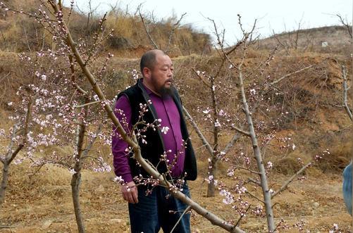 千亩荒山变身"桃花源""种树达人"深山5年创业坚守