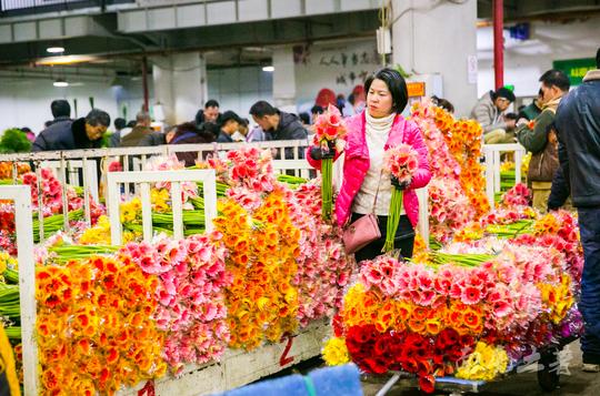 中国最大的花卉市场,鲜花白菜价,卖花像卖菜