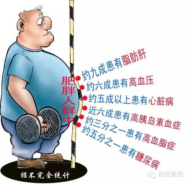 肥胖对宝宝的危害