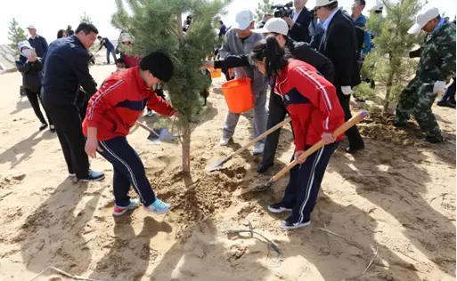 中国最会赚钱的治沙人:植树8年反赚近千亿,蚂蚁森林都