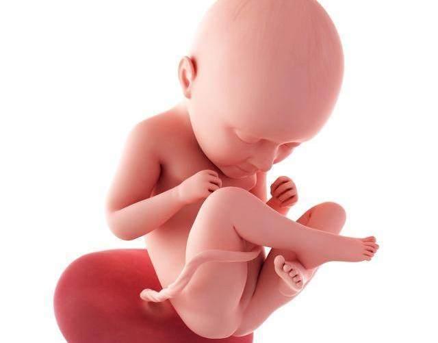 胎儿晚上胎动频繁是怎么回事