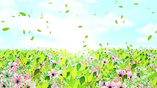 唯美春天绿叶穿梭舞台背景素材的预览图