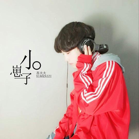 小崽子-苏大大-单曲-网易云音乐
