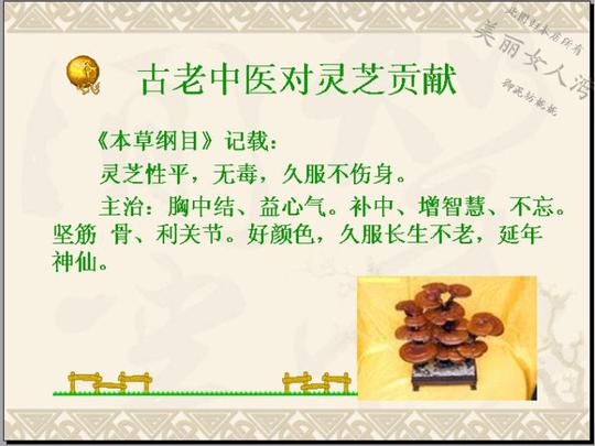 山西九龙如意龙灵芝粉隆重招商,仅需660元就能圆灵芝创业梦!