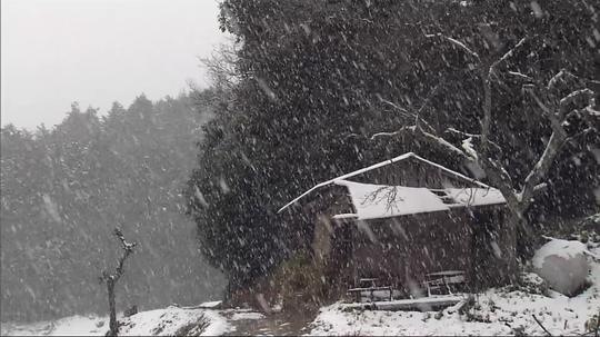 农村风光_下雪_1920x1080_高清视频素材下载(编号:8)