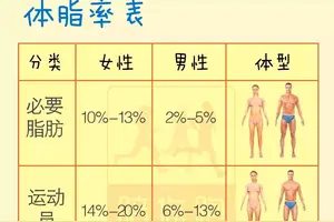 体脂率计算器公式 头条搜索