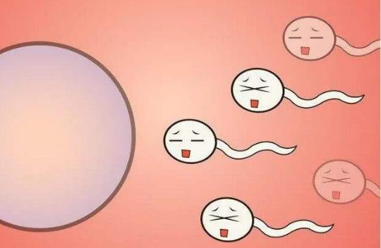 想生男孩应该吃什么