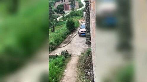 我家二哈大哥出去溜达完回来了，看样子今天又踩死两亩地