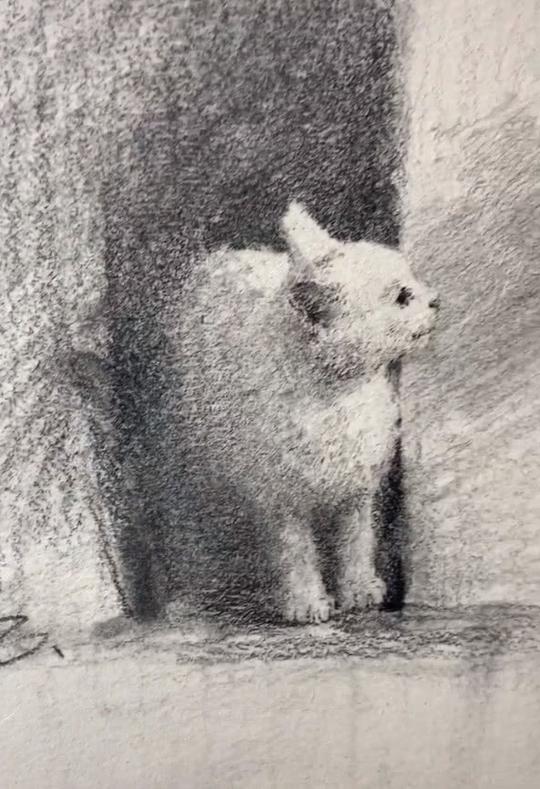 大佬用黑笔画白色猫,成品令网友叹服:吸不起的喵!