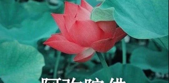 孩子进家长群后,头像前后对比,网友:魔鬼还是秀儿