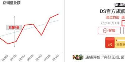 新知达人,营销神器单月涨粉30万，适合小卖家的速成攻略硅步电商代运营