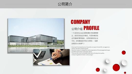 免费文档所有分类简约商业创业计划书总结汇报ppt第4页(共40页