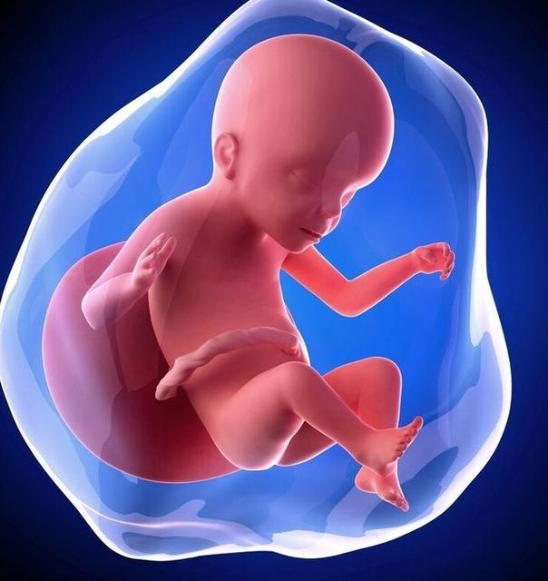 胎儿发育的很好的表现有哪些