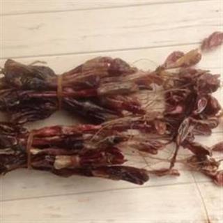 补肾煲汤食谱大全