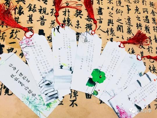 成长的新时代教师——松林第三十二期教师大讲堂青年教师职业规划分享
