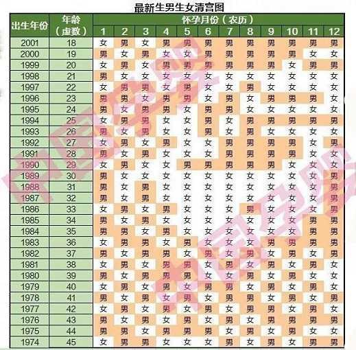 生男生女早知道测试表