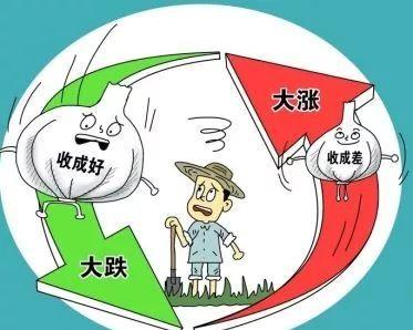 冷库生意红火都处于满仓状态