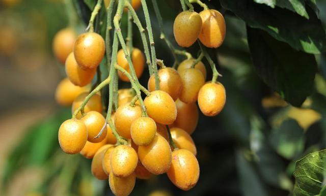 夏天孩子怎么能长高
