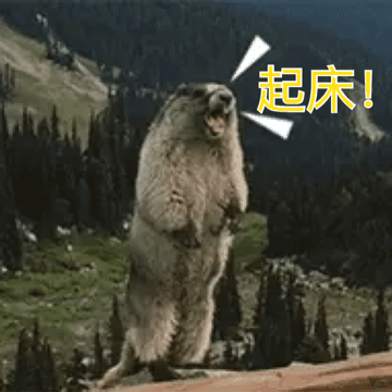 尖叫土拨鼠表情包抽搐gif动图