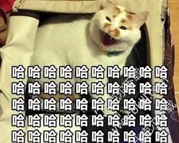 撸专用动态图搞笑表情包