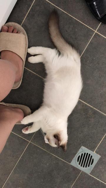 婴儿呼吸声重正常吗