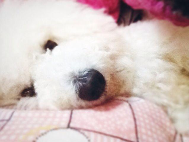 宝宝每天很早醒怎么办