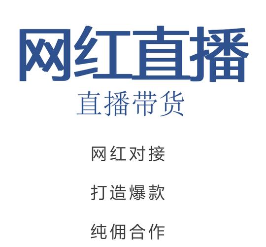 短视频抖音淘宝天猫店铺直播代运营网红主播达人带货推广带货