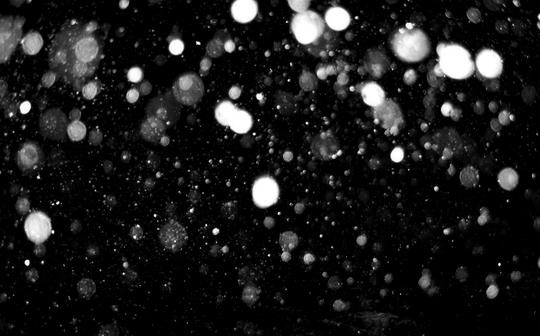 雪下雪落雪雪花雪花飘散素材雪素材唯美暴风雪大雪飞雪雪景雪花飘落渲