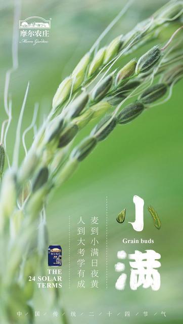 2020小满节气海报文案怎么写