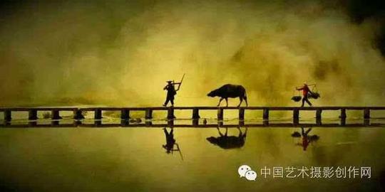 5月浙江"丽水云和梯田,瓯江帆影,仙都老农牵牛过桥,温州茗岙梯田及