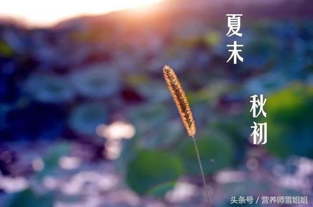 夏末初秋婴幼儿吃什么好